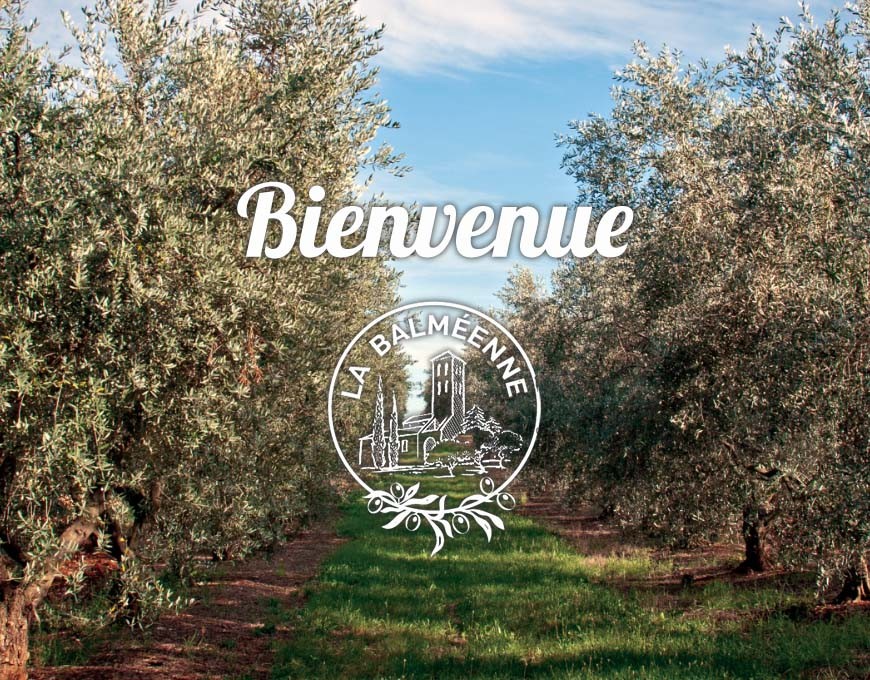 CHAPITRE I - Huile d'olive de France - 5L - LA BALMEENNE